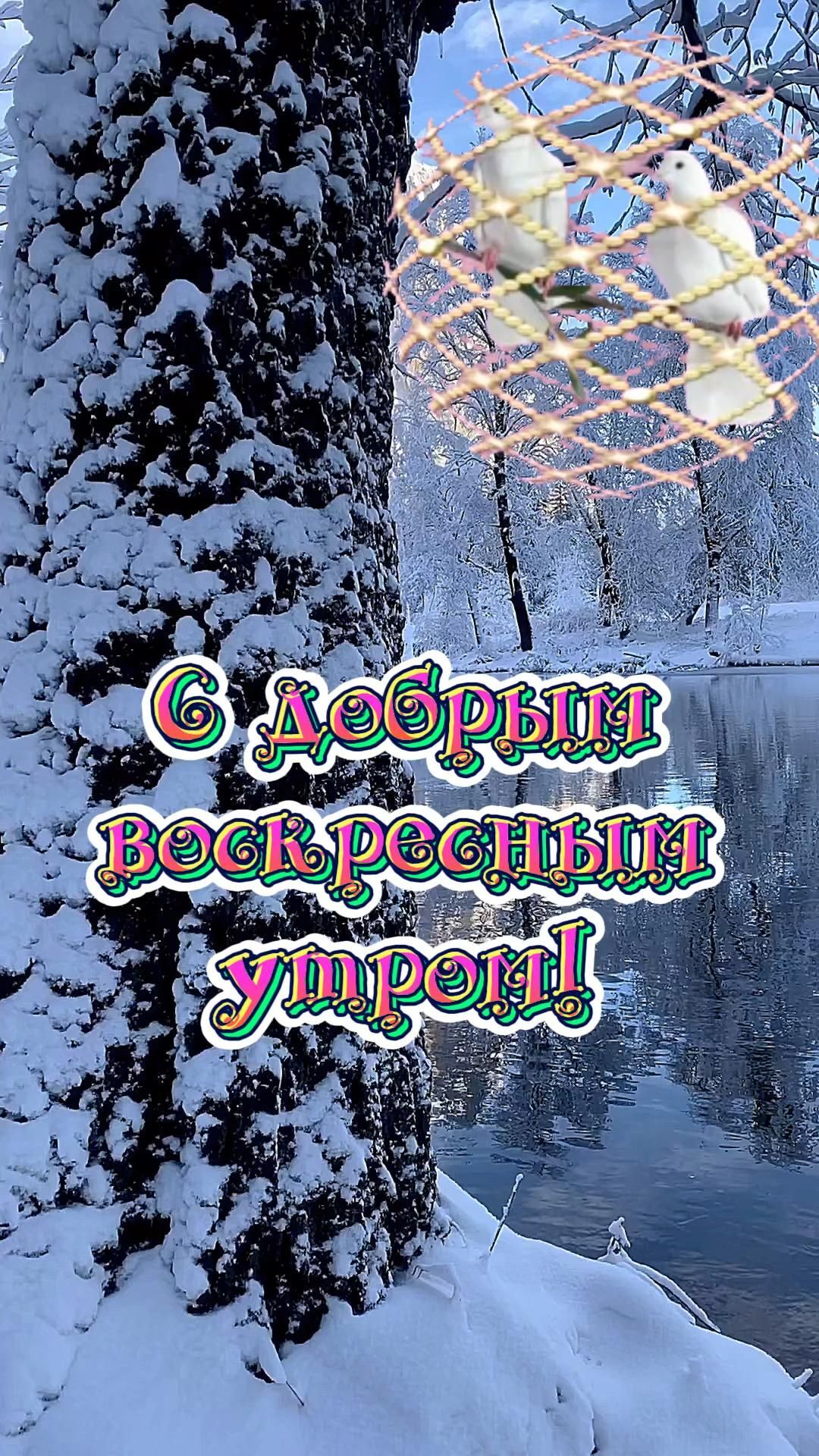 Открытка на воскресенье. С добрым воскресным утром# there is a christmas tree with lights hanging from it's branches in the snow