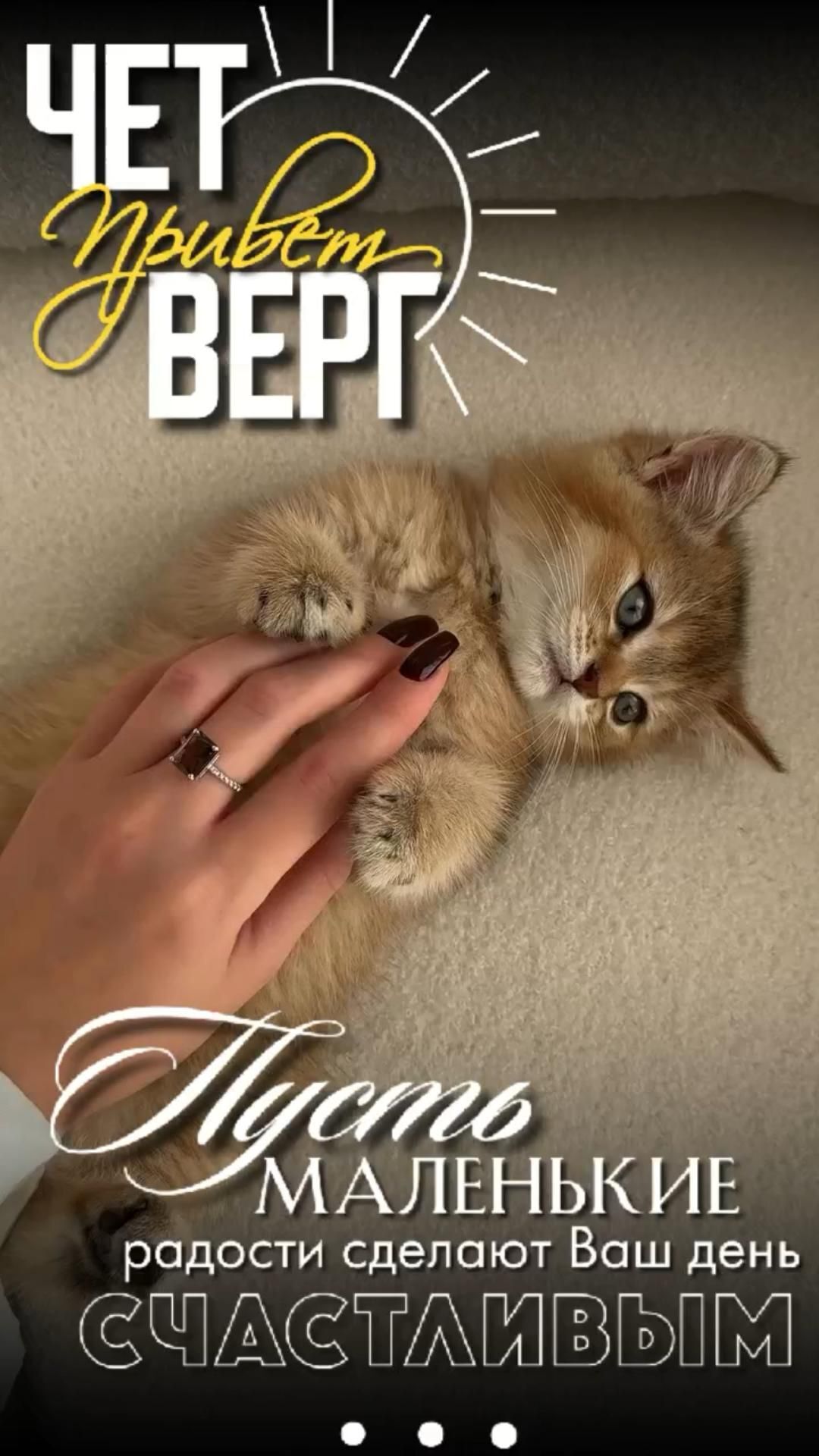 Открытка на четверг. a woman's hand petting a kitten on top of a white carpet with the words, let your cat bep