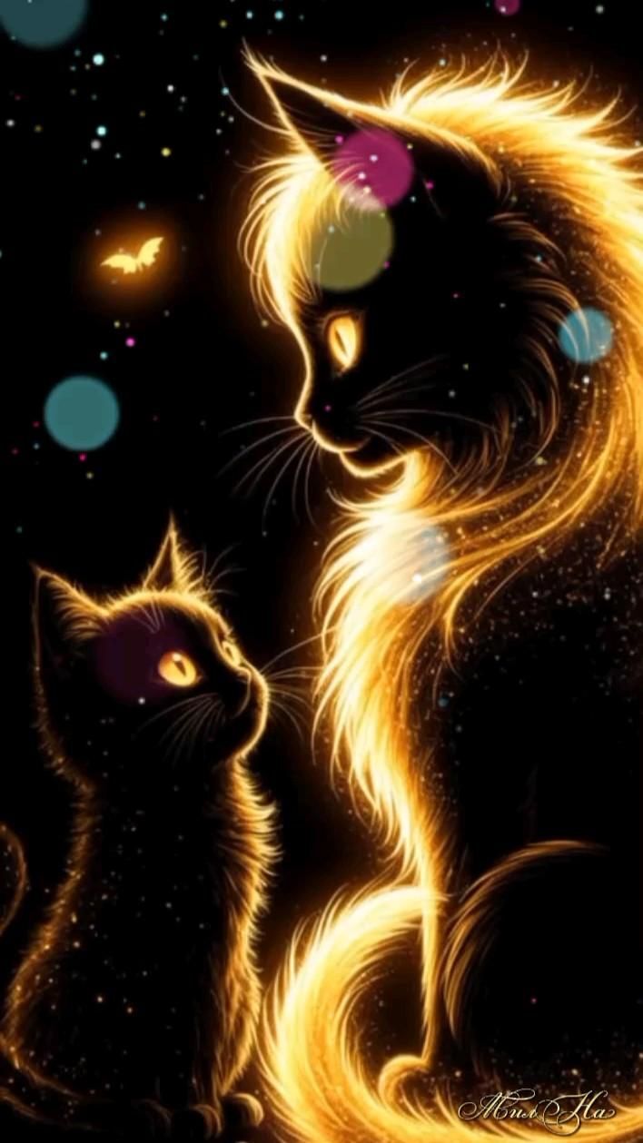 Открытка про кошек, котиков. two cats sitting next to each other on a black background with stars and circles around them