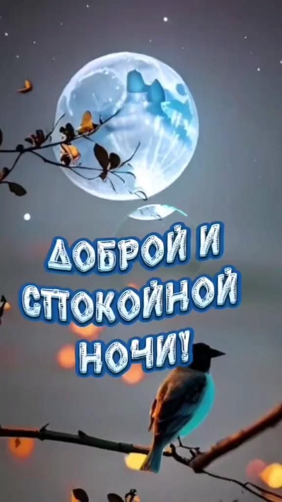 Открытка спокойной ночи. a blue bird sitting on top of a tree branch in front of a full moon