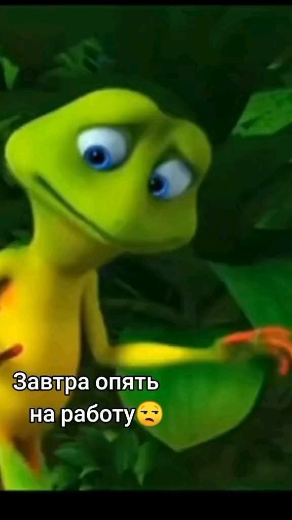Открытка на воскресенье. Завтра опять на работу. 😄 Работа 😂 a green frog with blue eyes is in the jungle