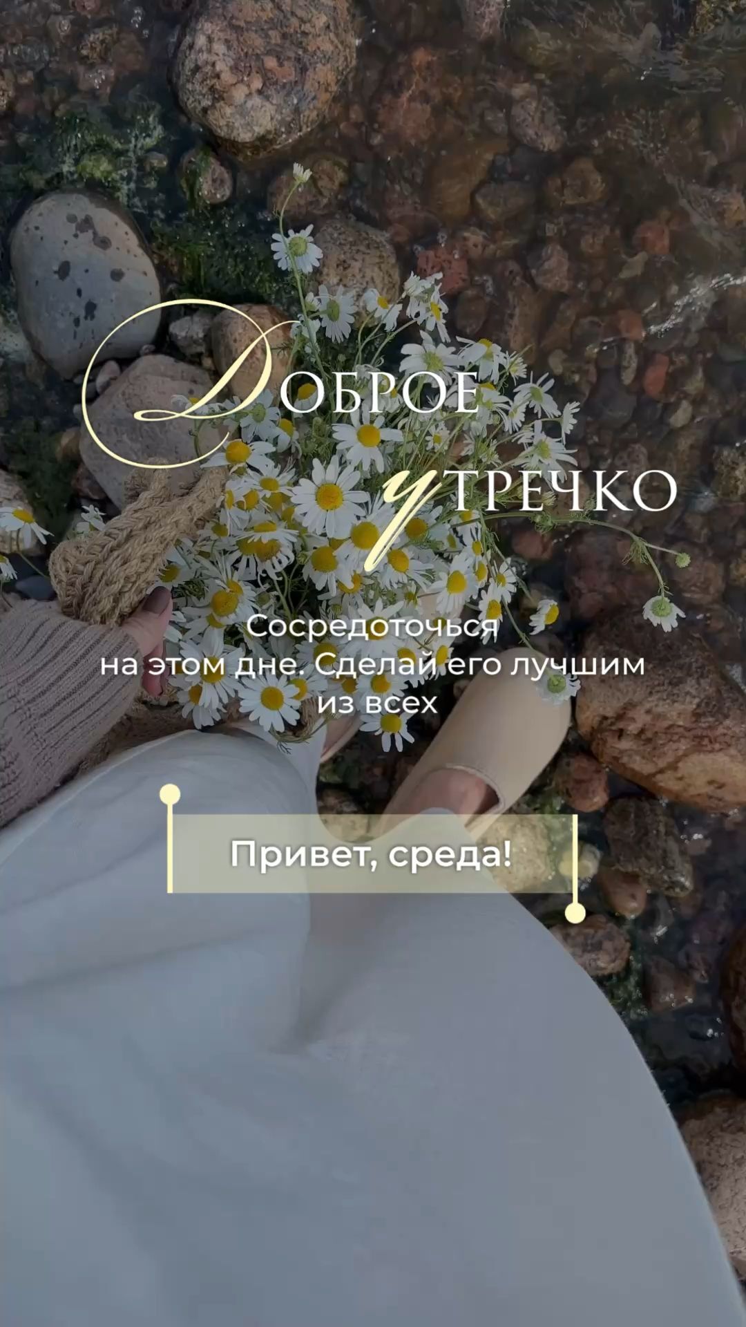 Открытка на среду. Среда доброе утро эстетика flowers next to rocks and water