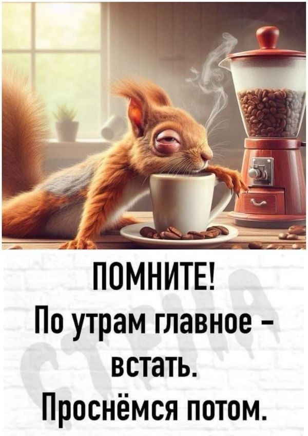 Открытка с добрым утром. Не выспавшаяся белка и кофе. Открытка с добрым утром. Не выспавшаяся белка и кофе.