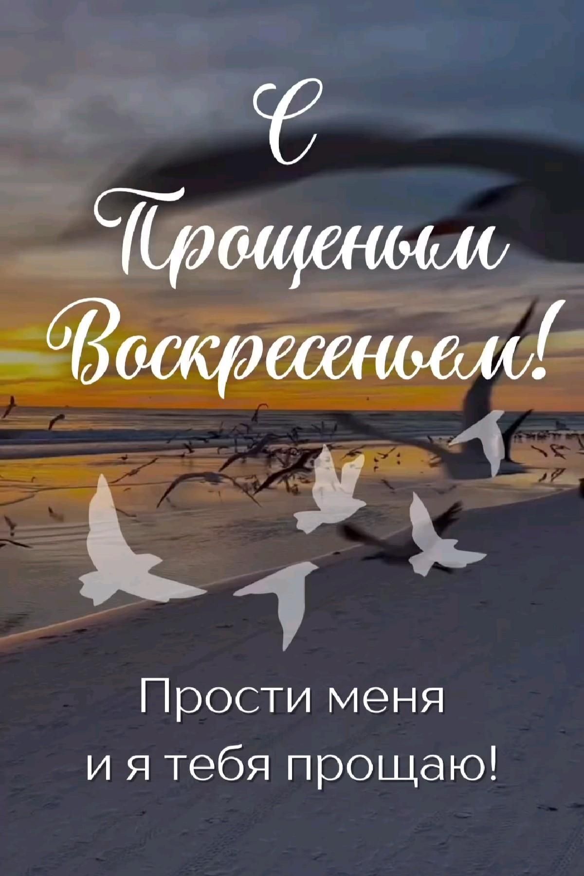 Открытка на Прощеное Воскресенье. #праздник С Прощенным Воскресеньем! birds flying in the sky over a beach at sunset with words that read, russian and english