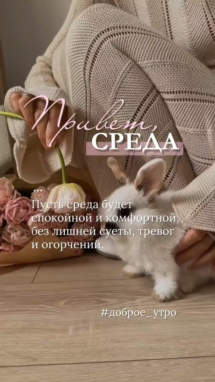 Открытка на среду. среда a woman is petting a small bunny on the floor with flowers in front of her