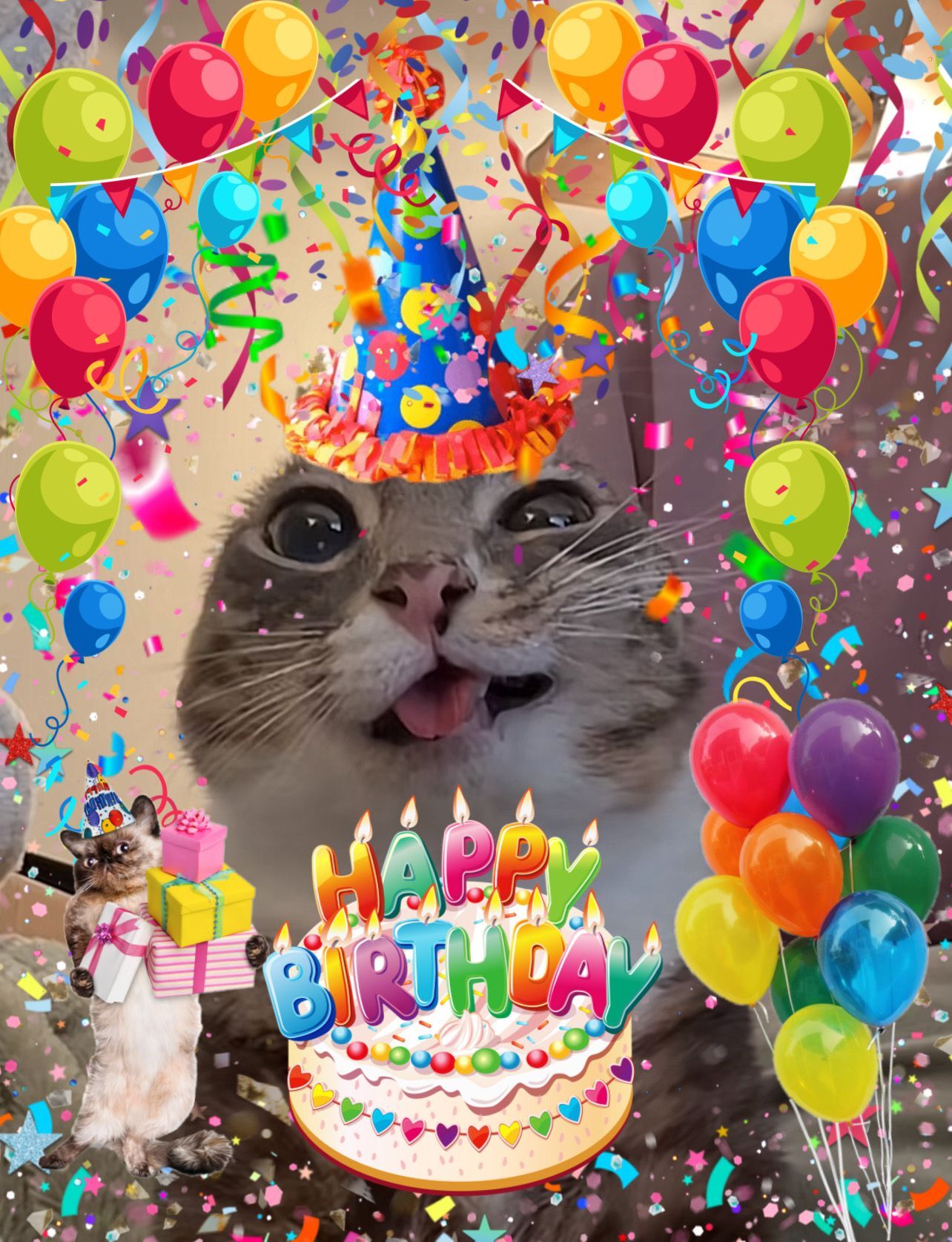 Открытка с днем рождения. Happy birthday with rigby cat!!🥳🥳 a cat is sticking its tongue out with balloons and confetti all around it