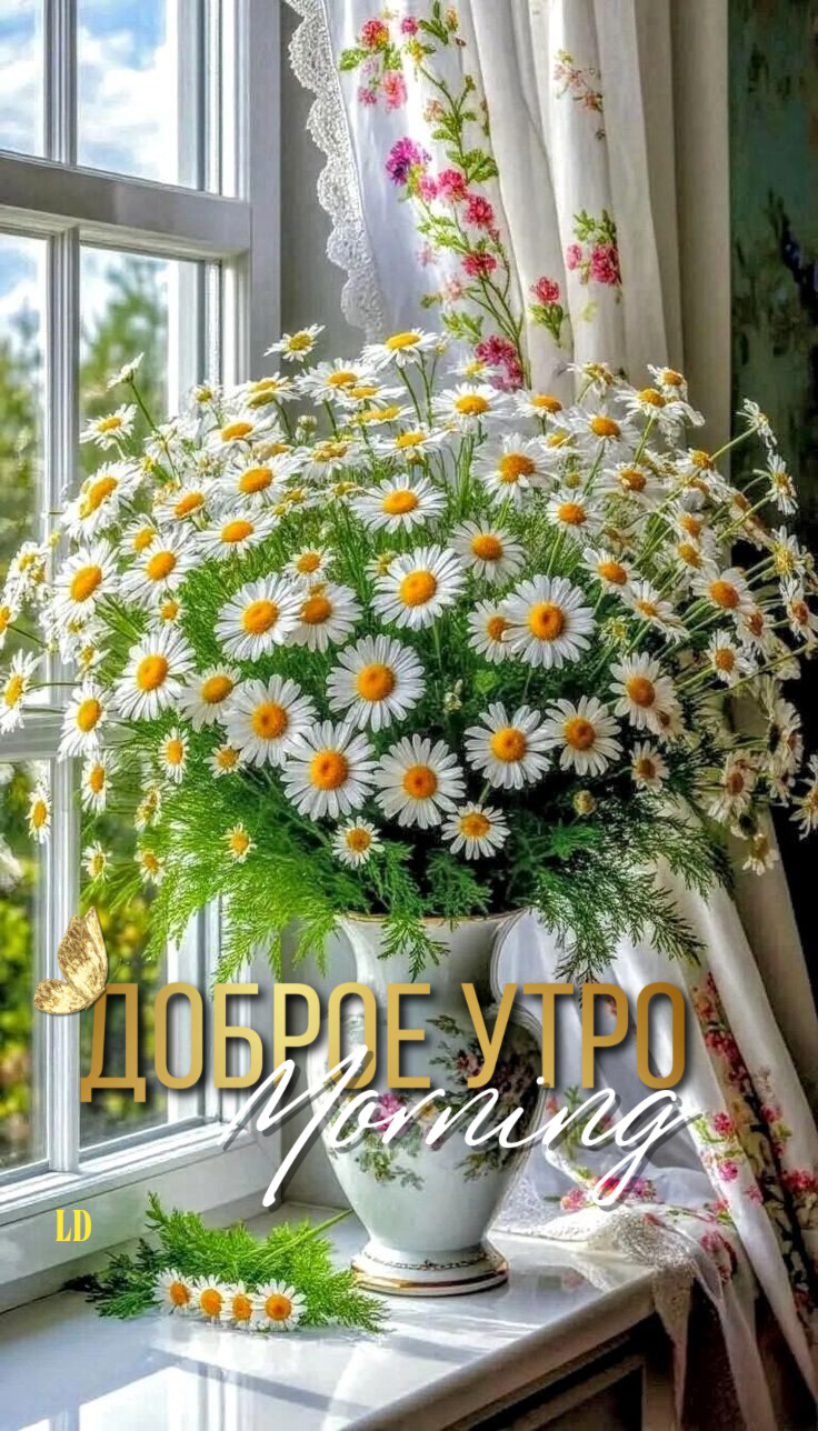 Открытка с добрым утром. Букет ромашек в вазе.