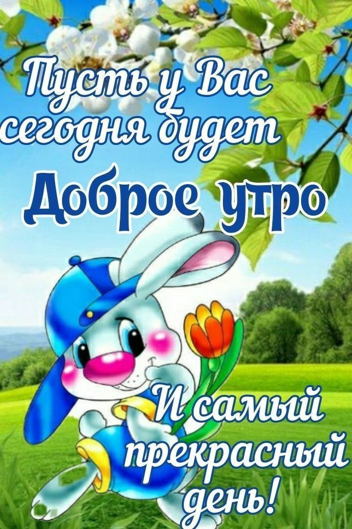 Открытка с добрым утром. Кролик. Пусть у Вас сегодня будет Доброе утро и самый прекрасный день!
