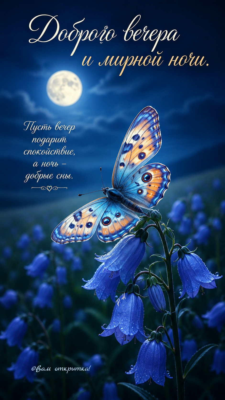 Открытка добрый вечер. Доброго вечера и мирной ночи! a butterfly sitting on top of a blue flower in front of a moon filled sky Открытка добрый вечер. Доброго вечера и мирной ночи! a butterfly sitting on top of a blue flower in front of a moon filled sky
