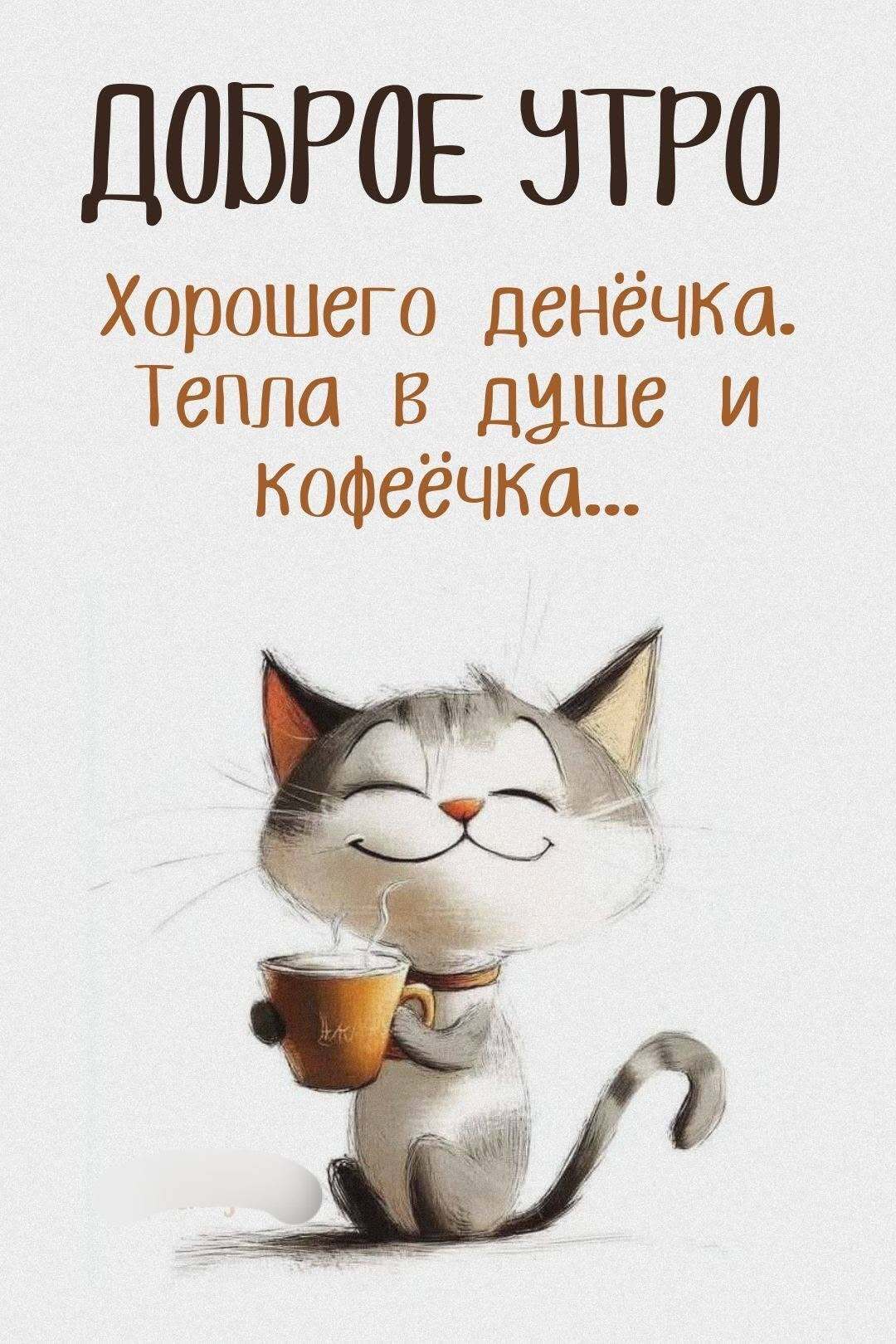 Открытка с добрым утром. Хорошего денечка. Тепла в душе и кофеечка. Котик с чашкой кофе.