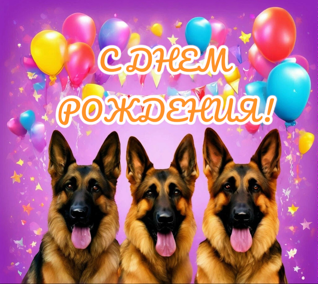 Открытка с днем рождения. Открытка с поздравлением на день рождения С Днем Рождения! three german shepherd dogs with balloons and confetti in front of a happy birthday card
