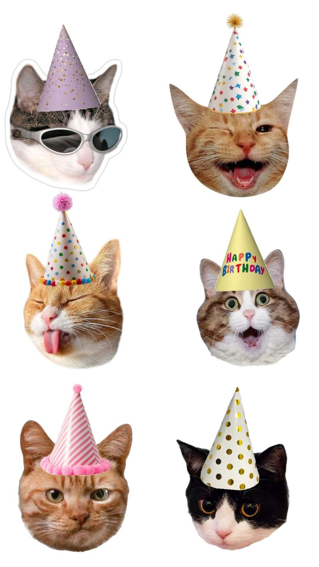 Открытка с Днем рождения с котиками. four cats wearing party hats and sunglasses on top of each other's heads in different positions
