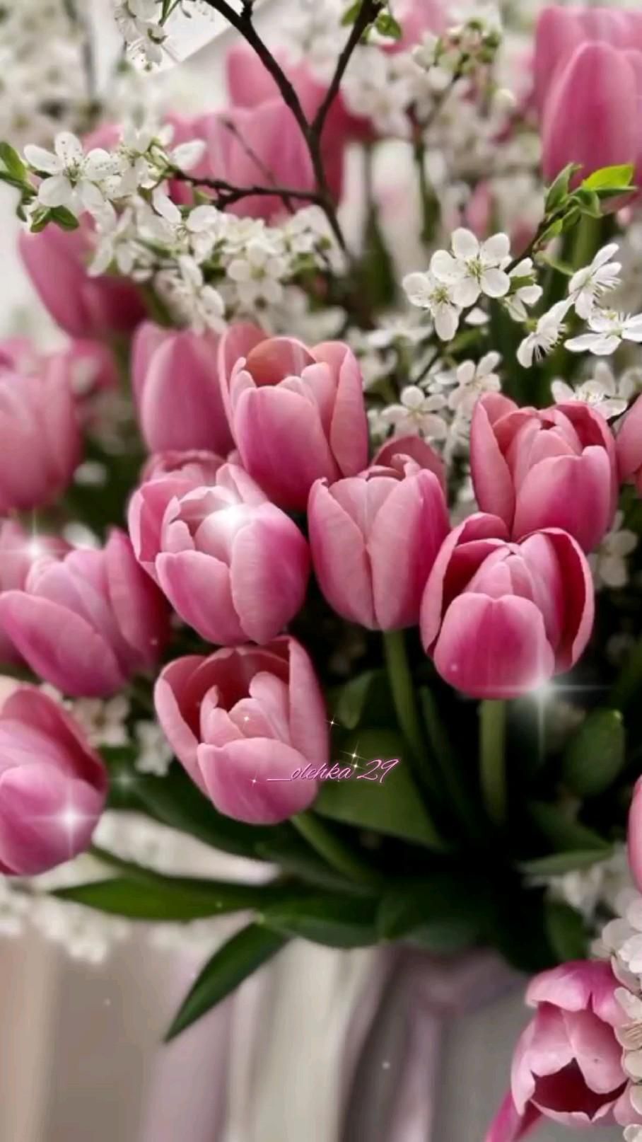 Открытка с днем рождения женщине. Нет текста. a bouquet of pink tulips and baby's breath in a white vase Открытка с днем рождения женщине. Нет текста. a bouquet of pink tulips and baby's breath in a white vase