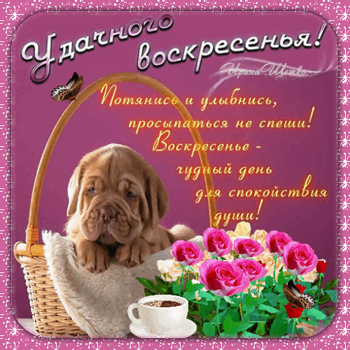 Милая открытка «Удачного воскресенья!» с очаровательным щенком, розовыми розами и чашкой кофе. Идеальное пожелание спокойствия и доброго утра для близких. Анимированная открытка Удачного воскресенья! Красивая поздравительная открытка на воскресенье с милым щенком. На изображении представлен золотистый щенок, лежащий в плетеной корзине с мягким пледом, рядом с букетом розовых роз и чашкой кофе