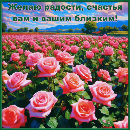 Красивая открытка с розовыми розами и пожеланием радости и счастья вам и вашим близким. Идеальное душевное поздравление для близких людей. Анимированная открытка Желаю радости, счастья вам и вашим близким!, (М. С.) Красивая открытка с пышным полем розовых роз под открытым небом. На изображении крупным планом представлены нежные распустившиеся бутоны розовых роз на фоне зеленой листвы и живописного пейзажа с горами и деревьями. Сверху нанесена поздравительная надпись на русском языке: 