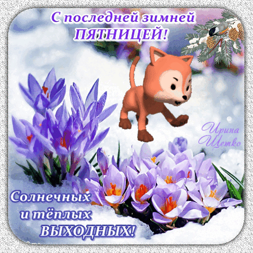 Поздравлятельная открытка: милый лисенок и фиолетовые крокусы на снегу. Надпись: «С последней зимней пятницей! Солнечных и теплых выходных!» Анимированная открытка С последней Зимней Пятницей! Красочная поздравительная открытка с милым рыжим лисенком, расцветающими фиолетовыми крокусами на снегу и текстом на русском языке. Надпись гласит: «С последней зимней пятницей! Солнечных и теплых выходных!». Изображение передает атмосферу ранней весны, смены сезонов и предвкушения тепла
