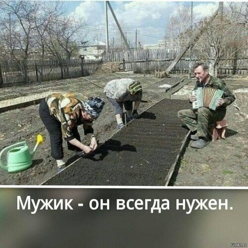 Сельский быт: мужчины работают в огороде и отдыхают под музыку гармони. Надпись на фото: «Мужик - он всегда нужен». Атмосфера деревенской жизни. Открытка Мужик он всегда нужен На изображении запечатлена сцена сельской жизни: мужчина в камуфляжной одежде работает в огороде, наклонившись над грядкой, в то время как другой мужчина сидит рядом и играет на гармошке. На фоне видны деревья, забор и сельские постройки. В нижней части картинки расположена надпись на русском языке: «Мужик - он всегда нужен»