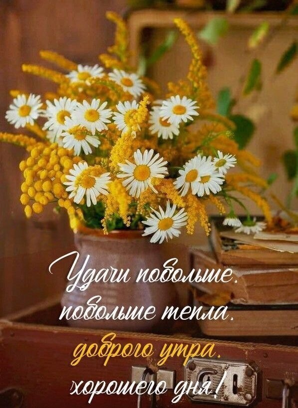 Букет ромашек и желтых цветов в вазе с надписью: Удачи побольше, побольше тепла, доброго утра, хорошего дня!. Красивая открытка для доброго утра. Открытка Удачи побольше, побольше тепла! Доброго утра! Хорошего дня! Красивый и теплый летний натюрморт с букетом белых ромашек и желтых полевых цветов в глиняной вазе. Композиция дополнена уютными деталями: старинными книгами и мягким солнечным светом. На изображении нанесена поздравительная надпись на русском языке: 