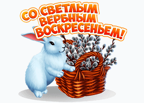 Праздничная открытка к Вербному воскресенью: милый голубой кролик с корзиной вербы и яркой надписью «Со светлым Вербным воскресеньем!» для поздравлений. Анимированная открытка С Вербным Воскресением! Красочная праздничная открытка, посвященная Вербному воскресенью. На изображении представлен милый пушистый голубой кролик, который держит плетеную корзину с ветками вербы (котиками). Сверху расположена яркая надпись на русском языке: «Со светлым Вербным воскресеньем!»