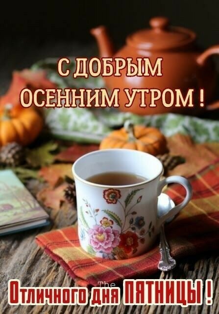 Уютная осенняя открытка с чашкой чая, тыквами и надписью: «С добрым осенним утром! Отличного дня пятницы!». Теплая атмосфера для поздравления. Открытка С добрым осенним утром! Отличного дня Пятницы! Уютная осенняя открытка с чашкой горячего чая в цветочном принте, стоящей на клетчатой салфетке. На заднем плане — декоративные тыквы и чайник в теплых тонах. На изображении наложен текст на русском языке: «С добрым осенним утром! Отличного дня пятницы!»