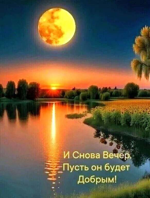Открытка добрый вечер. СПОКОЙСТВИЯ НА ДУШЕ!💖🌷🌷🌷ПУСТЬ ТИХАЯ РАДОСТЬ НАПОЛНИТ КОМНАТЫ Вашего ДОМА!❤🌝 🌜✨✨✨✨✨🌛 an image of a sunset with the moon in the sky and trees on the shore