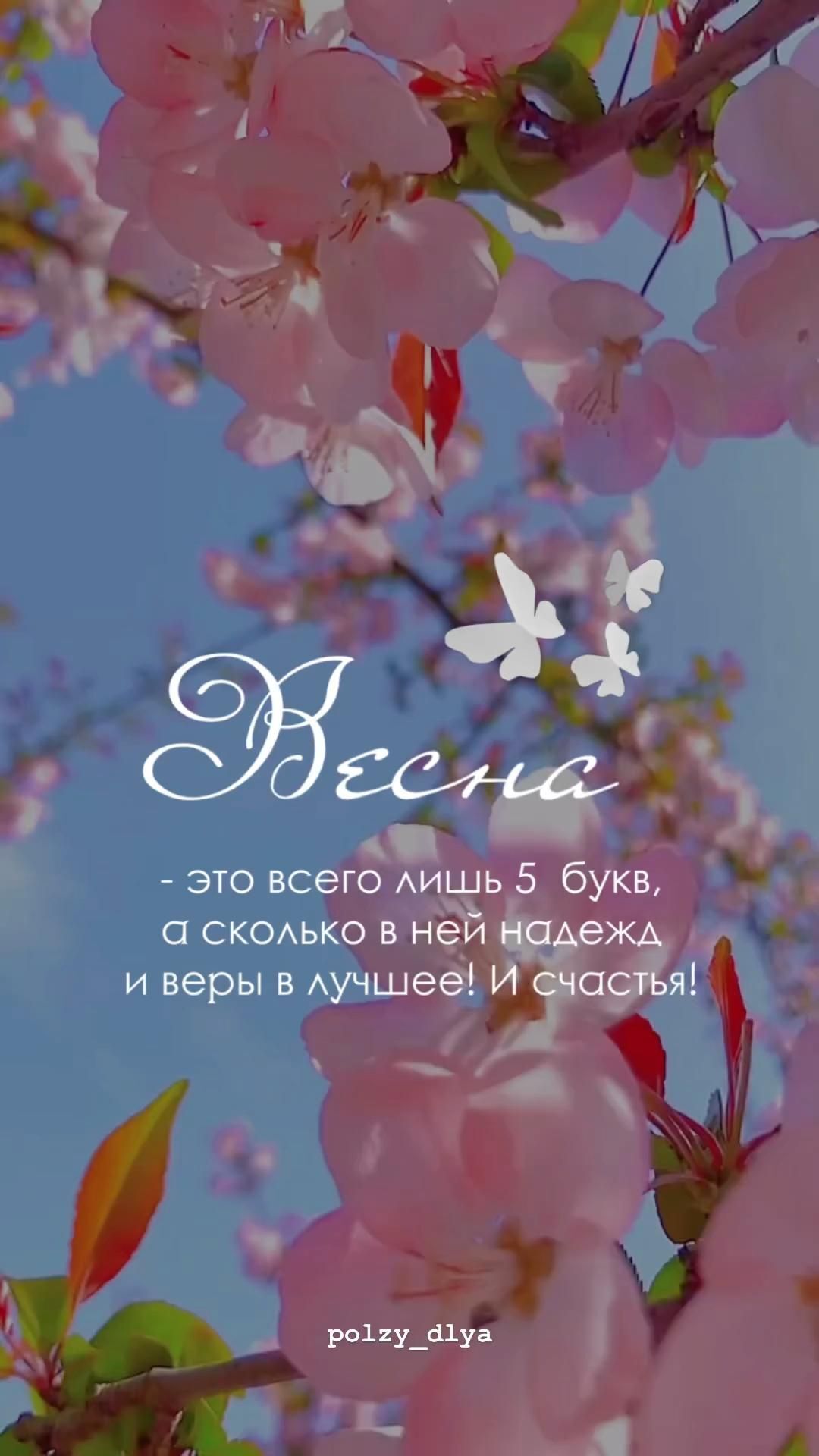 Открытка на Весну. pink flowers are blooming in the sky with words above them that read, bereaa