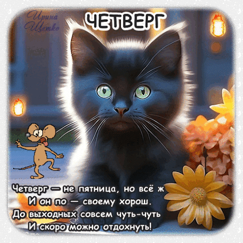 Забавная открытка с котенком на четверг: Четверг — не пятница, но все же хорош!. Поднимите настроение друзьям в преддверии выходных! Анимированная открытка Четверг Милая и забавная открытка с черным котенком, предназначенная для поздравления с четвергом. На изображении пушистый котенок с выразительными глазами, рядом с которым изображена смешная мышка. На фоне — теплые осенние цветы и мягкий свет. Текст на картинке гласит: Четверг — не пятница, но все же И он по-своему хорош. До выходных совсем чуть-чуть И скоро можно отдохнуть!