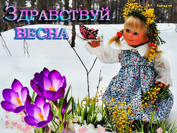 Поздравительная открытка «Здравствуй, Весна!» с крокусами, куклой и бабочкой. Красочное изображение пробуждения природы и прихода весны. Анимированная открытка Здравствуй весна!! Красочное поздравительное изображение, символизирующее приход весны. На переднем плане изображены ярко-фиолетовые первоцветы (крокусы), пробивающиеся сквозь снег. Справа — милая девочка-кукла в цветочном платье, держащая бабочку и ветку мимозы. На фоне — заснеженный весенний лес. В верхней части кадра крупная блестящая надпись на русском языке: 