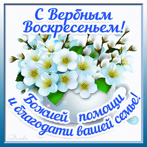 Поздравительная открытка к Вербному воскресенью с букетом белых цветов и пожеланием Божьей помощи и благодати вашей семье. Анимированная открытка С Вербным Воскресеньем! Красочная поздравительная открытка к Вербному воскресенью. На изображении представлен пышный букет белых цветов (вербы или цветущих ветвей) в белой вазе на светлом фоне. Поверх картинки нанесен праздничный текст синим цветом: «С Вербным Воскресеньем! и Божьей помощи и благодати вашей семье!»