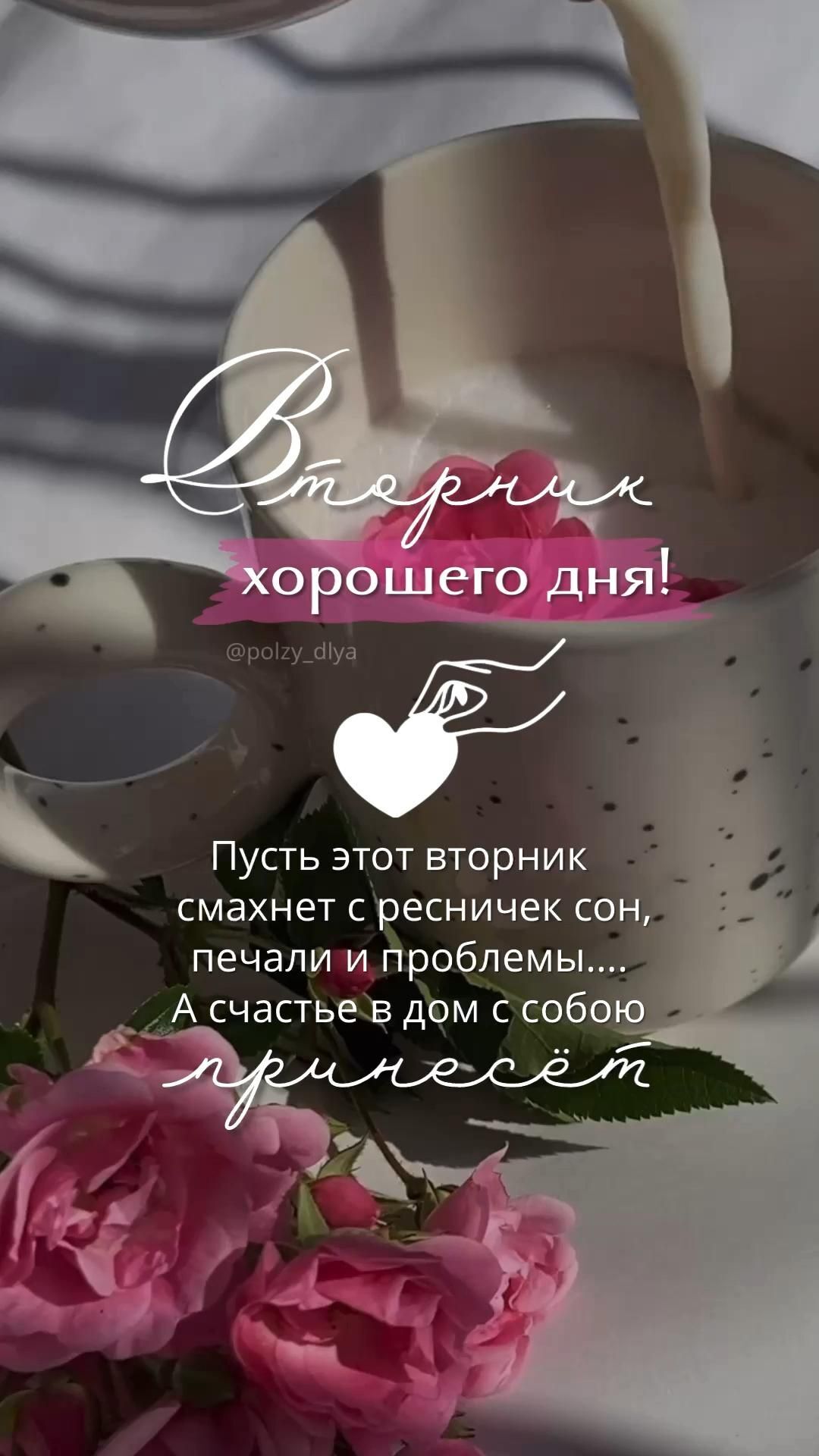 Открытка на вторник. Жми «перейти» и забирай стикеры, надписи , шрифты готовые шаблоны сторис и идеи a pink rose sitting in front of a white saucer with the words brie en expopoutero ash on it