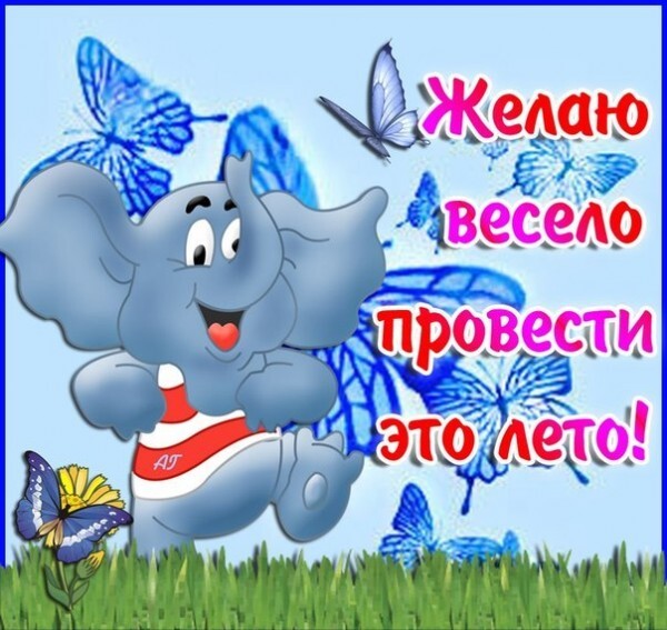 Поздравительная открытка: мультяшный слоненок и голубые бабочки. Надпись: «Желаю весело провести это лето!». Яркое летнее пожелание для друзей и соцсетей. Открытка Желаю весело провести это лето! Яркая и позитивная поздравительная открытка с мультяшным серым слоненком, радостно бегущим по зеленой траве. Изображение украшено множеством голубых бабочек на нежно-голубом фоне. На картинке крупным шрифтом с белой обводкой написан текст на русском языке: «Желаю весело провести это лето!»