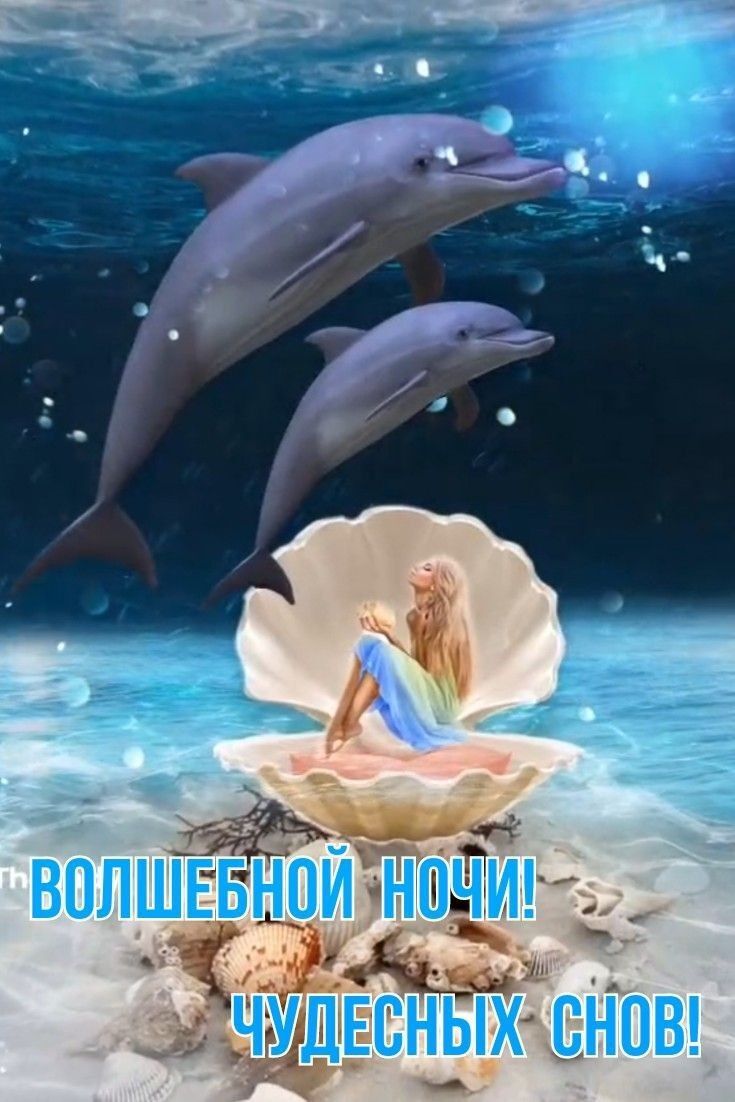 Открытка спокойной ночи. two dolphins and a woman sitting on a shell in the ocean