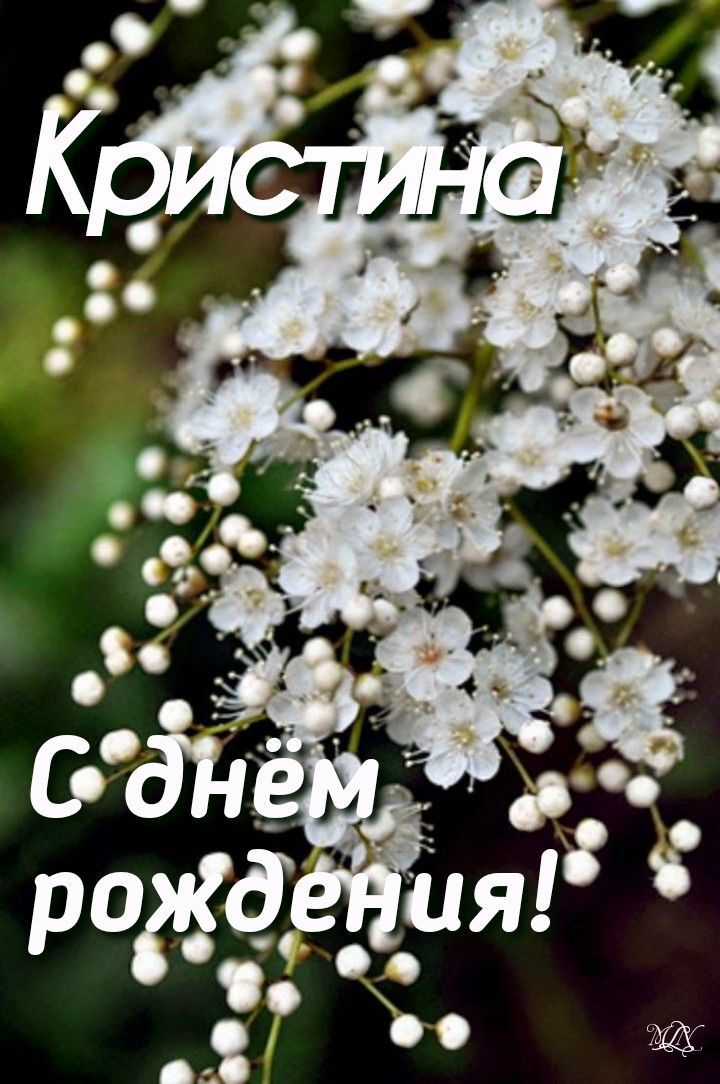 Открытка с днем рождения Кристина. white flowers with the words russian written in large letters on it's bottom corner