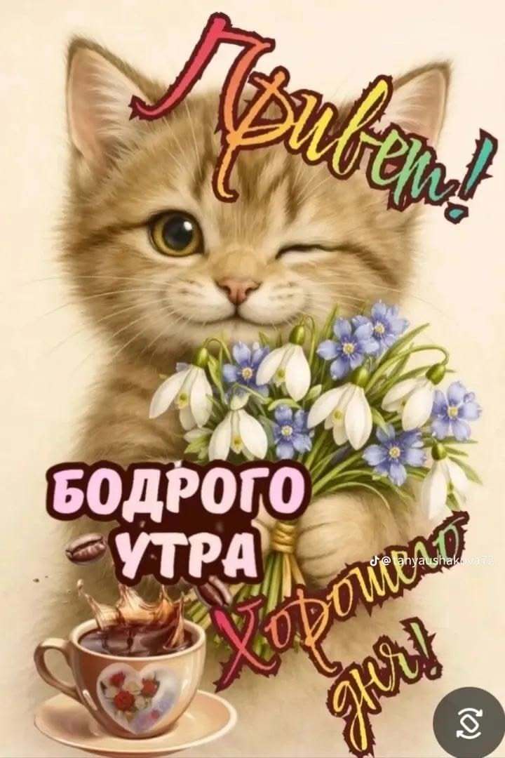 Открытка с добрым утром. Котенок с цветами. Бодрого утра.
