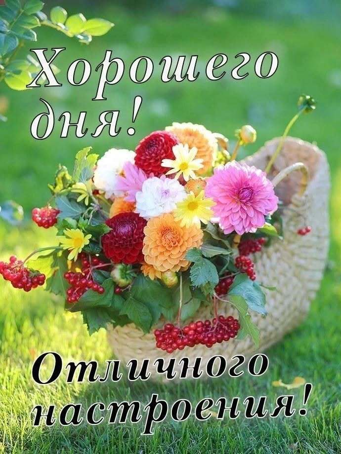 Открытка хорошего дня и настроения. Цветы в корзинке.