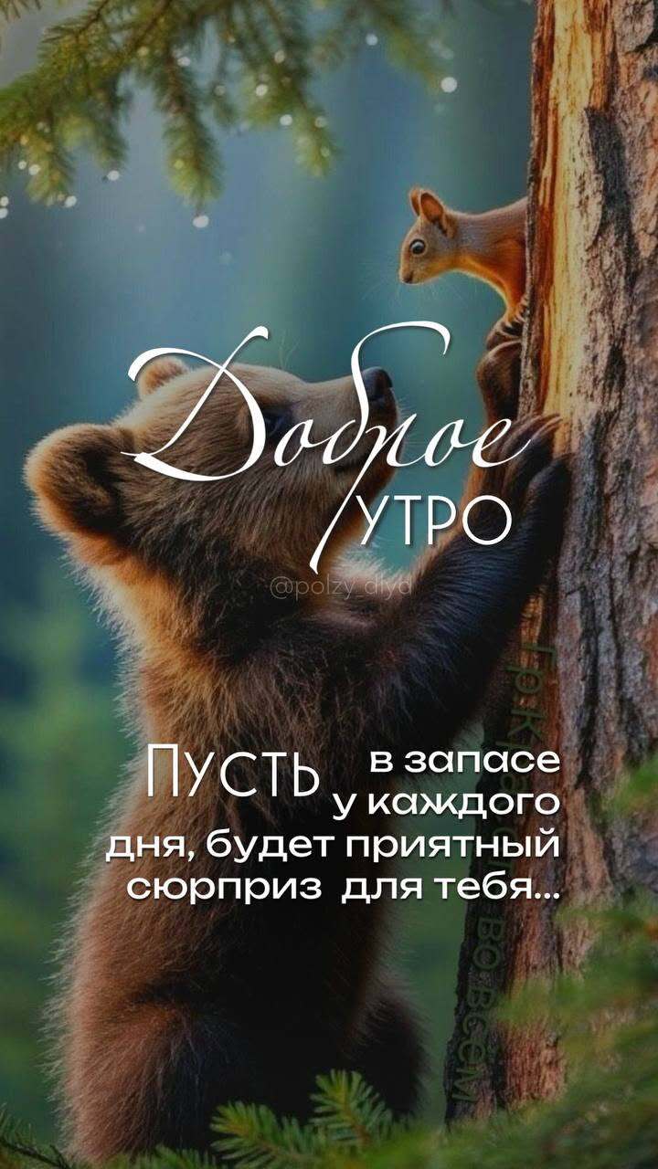 Открытка с добрым утром. Медвежонок на дереве, белочка. Открытка с добрым утром. Медвежонок на дереве, белочка.