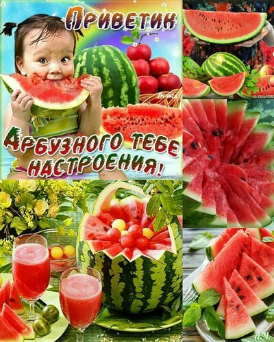 Яркий летний коллаж с малышкой и сочными арбузами. Надпись: «Приветик! Арбузного тебе настроения!» — идеальная картинка для позитивного настроения. Открытка Приветики Яркий и позитивный коллаж, посвященный лету и арбузам. На изображениях представлена очаровательная малышка, с аппетитом кусающая ломтик спелого арбуза, а также аппетитные композиции из арбузной мякоти, свежевыжатого арбузного сока в бокалах и красиво нарезанных долек. На картинке красуется праздничная надпись на русском языке:  Приветик! Арбузного тебе настроения!