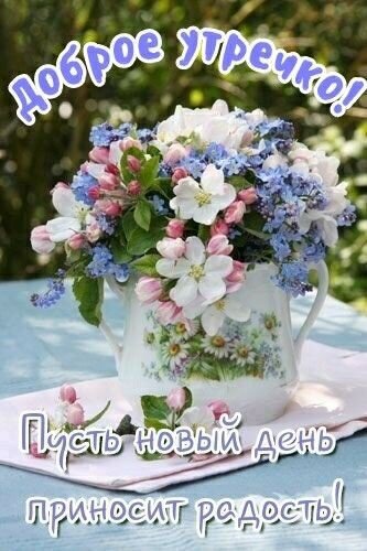 Открытка «Доброе утречко!» с нежным букетом цветов в вазе. Пожелание радости в новый день для ваших близких и друзей. Красивое утреннее фото. Открытка Доброе утречко Красивая открытка с пожеланием доброго утра. На изображении представлен пышный букет нежных белых, розовых и голубых цветов в изящной белой керамической вазе с цветочным узором. Букет стоит на столе на фоне солнечного сада. На картинке расположены надписи на русском языке: сверху «Доброе утречко!», а снизу «Пусть новый день приносит радость!»