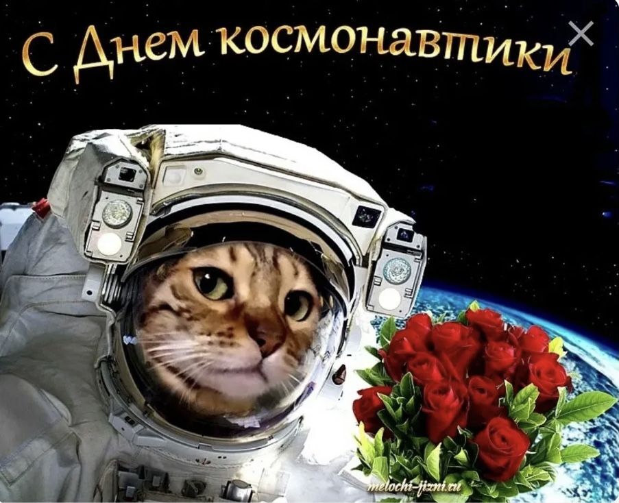 Открытка на День Космонавтики. a cat in an astronaut's suit with roses
