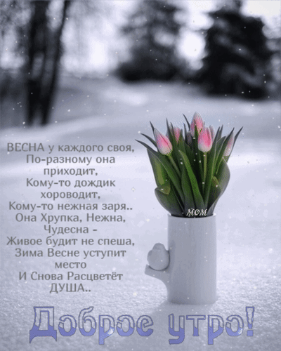 Весенняя открытка с розовыми тюльпанами и душевными стихами о весне. Надпись «Доброе утро!». Красивое пожелание тепла и обновления на фоне снега. Анимированная открытка Доброе утро! Весна у каждого своя, по-разному она приходит, кому-то дождик хороводит, кому-то нежная заря... Красивая поздравительная открытка к весне с нежными розовыми тюльпанами в белой вазе на заснеженном фоне. На изображении расположен поэтичный текст о приходе весны, о том, что она у каждого своя: для кого-то с дождем, для кого-то с нежной зарей. Текст пропитан настроением обновления, хрупкости и надежды. В нижней части крупная надпись «Доброе утро!»