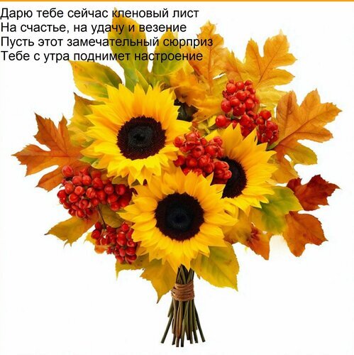 Осенний букет из подсолнухов, кленовых листьев и красных ягод. Яркая композиция для создания настроения, тепла и осеннего уюта. Открытка Дарю тебе сейчас кленовый лист на счастье, на удачу и везение. Красивый осенний букет из ярких подсолнухов, золотистых кленовых листьев и веточек красных ягод. Эстетичная композиция в теплых тонах, символизирующая уют, счастье и удачу. Идеальное изображение для поздравлений с осенью, создания осеннего настроения и вдохновения