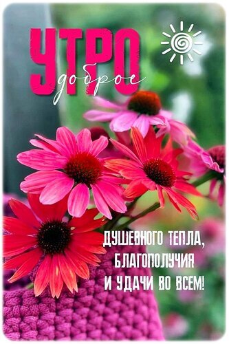 Открытка «Доброе утро»: яркие розовые цветы, солнце и теплые пожелания душевного тепла, благополучия и удачи. Идеально для позитивного начала дня! Открытка Доброе утро! Красивая открытка с пожеланием доброго утра. На изображении представлены яркие розовые цветы (эхинацея) в вязаной корзинке на фоне солнечного летнего пейзажа. На картинке нанесен текст на русском языке: «УТРО доброе. Душевного тепла, благополучия и удачи во всем!»