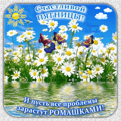 Открытка «Счастливой пятницы! И пусть все проблемы зарастут ромашками!»: солнечный день, ромашки и бабочки для отличного настроения. Анимированная открытка Счастливой пятницы! Красивая поздравительная открытка на пятницу с изображением яркого солнечного дня, цветущих белых ромашек и разноцветных бабочек. На картинке нанесена вдохновляющая надпись на русском языке: 