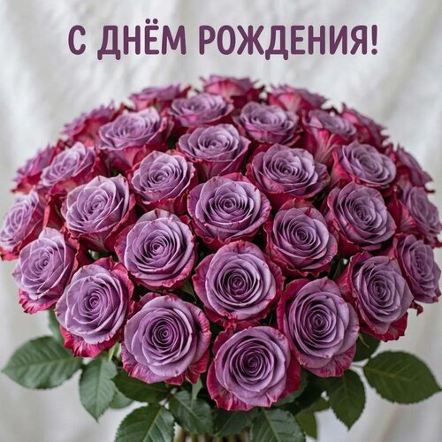 Праздничный букет фиолетовых роз с надписью «С днем рождения!». Красивая открытка для поздравления близких с днем рождения. Открытка С днем рождения! Красивый и роскошный букет из пышных фиолетовых роз с бордовыми краями лепестков. На изображении крупным планом представлен объемный цветочный ансамбль, создающий праздничное настроение. Сверху расположена поздравительная надпись на русском языке «С днем рождения!». Идеальное изображение для использования в качестве открытки, поздравительного сообщения или для оформления тематических праздничных постов в социальных сетях