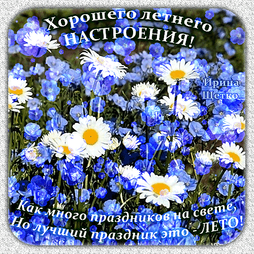 Летняя открытка с ромашками и голубыми цветами. Надпись: «Хорошего летнего настроения! Лучший праздник — это ЛЕТО!». Красивое пожелание для соцсетей и мессенджеров. Анимированная открытка Хорошего летнего настроения! Красочная поздравительная открытка с изображением поля ярких белых ромашек и нежных голубых цветов. На изображении наложен вдохновляющий текст на русском языке: сверху — «Хорошего летнего настроения!», а снизу — поэтичная фраза «Как много праздников на свете, Но лучший праздник это — ЛЕТО!». Изображение наполнено солнечным светом и летней свежестью, идеально подходит для отправки друзьям и близким в качестве доброго пожелания в летний сезон