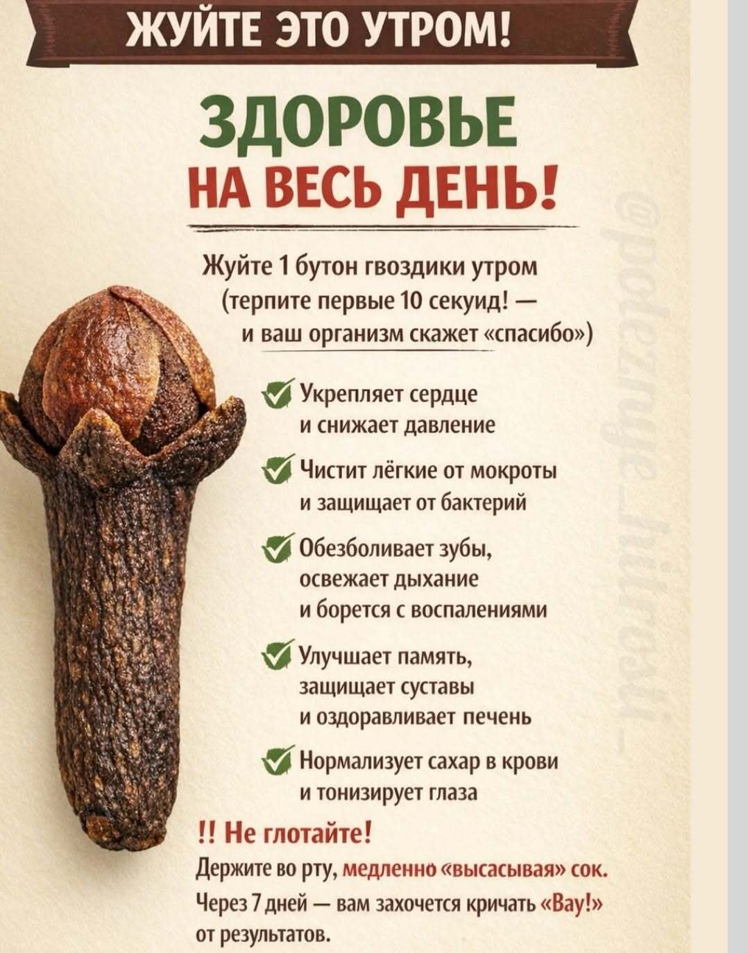 Открытка с добрым утром. Жуйте это утром! 1 бутон гвоздики - здоровье на весь день.