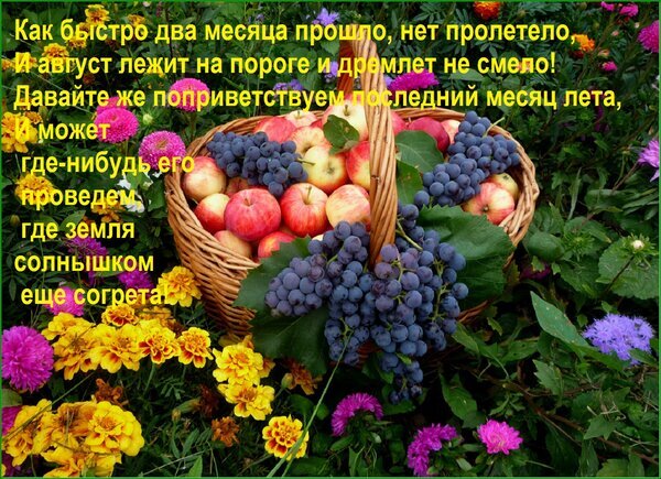 Приветствие августа: корзина с яблоками и виноградом среди садовых цветов и поэтичного текста о последнем месяце лета. Эстетика урожая и тепла. Открытка Как быстро два месяца прошло, нет пролетело, И август лежит на пороге и дремлет не смело! Давайте же Коллаж с поэтическим текстом на фоне корзины с урожаем. В плетеной корзине лежат спелые красные яблоки и гроздья темного винограда, окруженные зелеными листьями. Композиция расположена среди ярких садовых цветов: желтых бархатцев и розово-фиолетовых астр. Текст на русском языке, написанный желтым шрифтом, посвящен встрече последнего месяца лета — августа