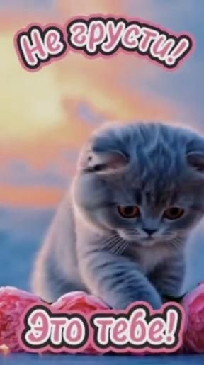 Открытка Улыбнись. ❤️Для тебя a cat is playing with some donuts in front of the caption that reads, he appears to be able