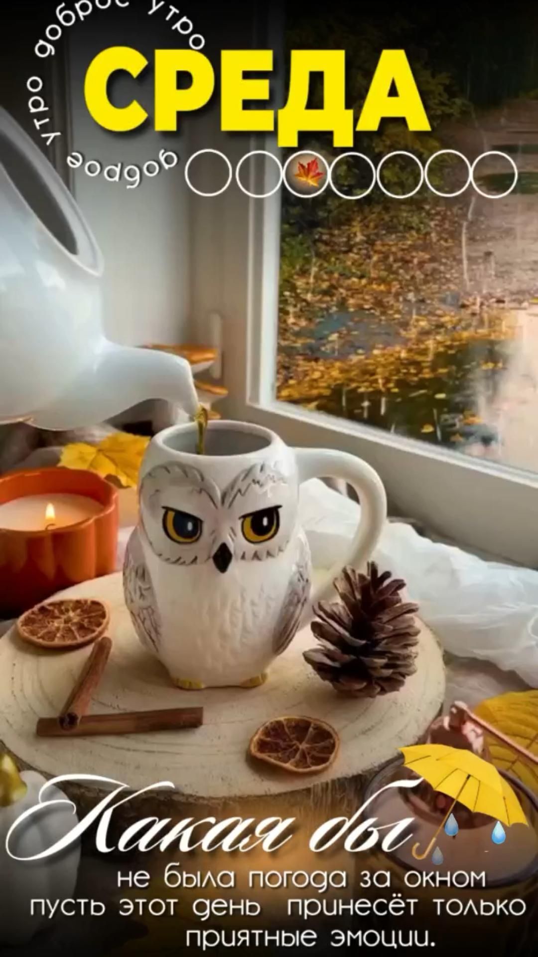 Открытка на среду. an owl mug sitting on top of a table next to a pine cone and candle