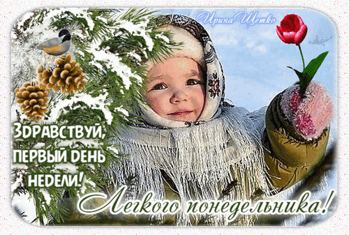 Доброе утро! Милая открытка с малышом и красным цветком. Пожелание легкого понедельника и хорошего начала первой недели. Поздравление для соцсетей. Анимированная открытка С понедельником! Милая поздравительная открытка с изображением малыша в зимней одежде, среди заснеженных еловых веток и шишек. Ребенок держит в руке ярко-красный цветок, символизирующий весну и надежду. На картинке размещен вдохновляющий текст на русском языке: «Здравствуй, первый день недели! Легкого понедельника!»
